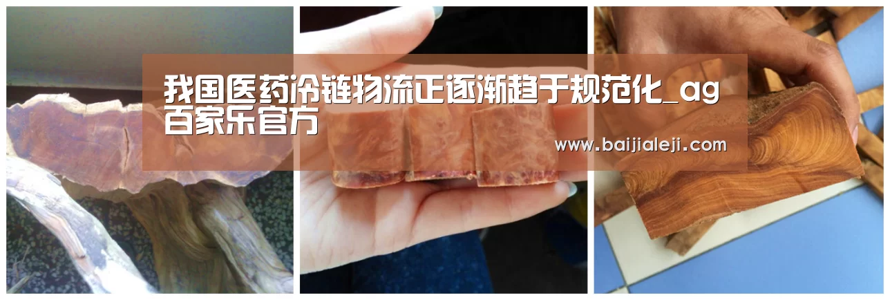我国医药冷链物流正逐渐趋于规范化_ag百家乐官方(图2) ag百家乐官方