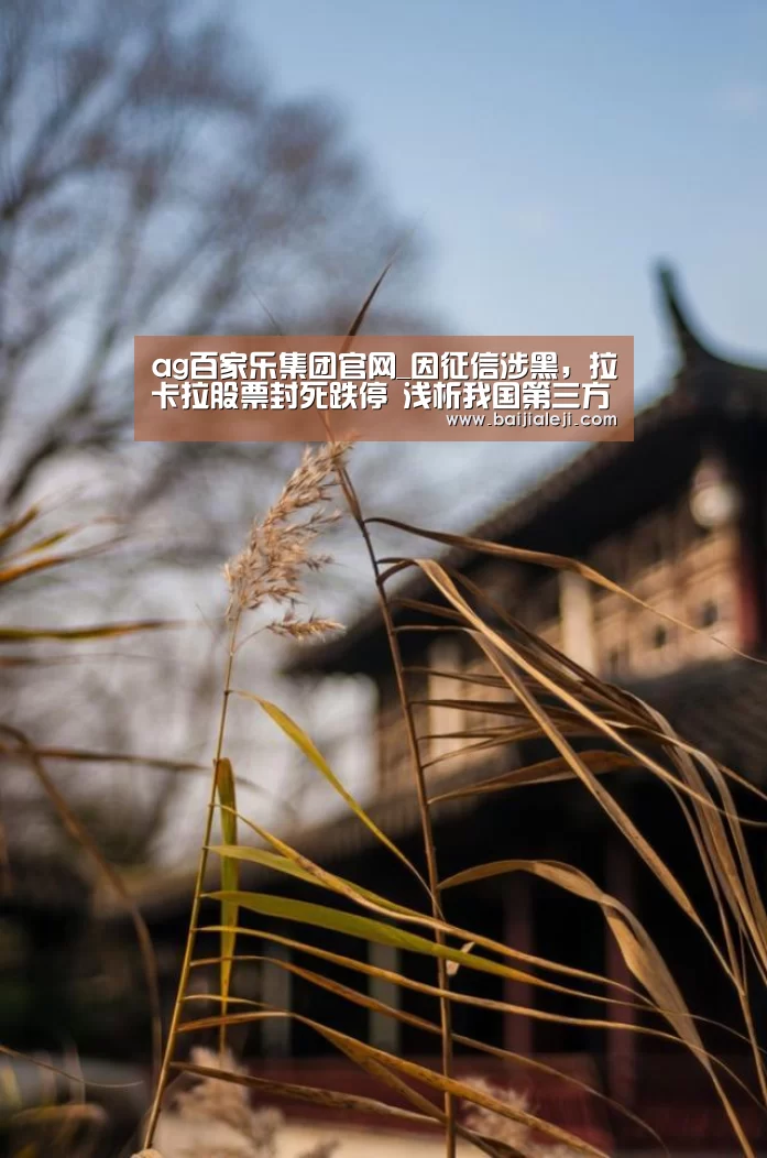 ag百家乐集团官网_因征信涉黑,拉卡拉股票封死跌停 浅析我国第三方互联网支付发展现状(图1) ag百家乐集团官网