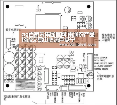 ag百家乐集团官网|雨润农产品物流交易中心落户咸宁(图1) ag百家乐集团官网