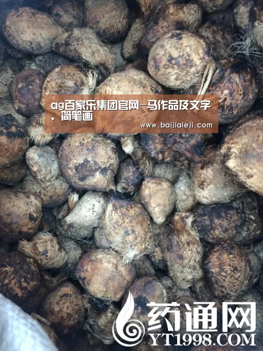 ag百家乐集团官网-马作品及文字、简笔画(图1) ag百家乐集团官网