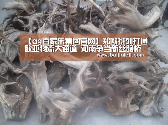 【ag百家乐集团官网】郑欧班列打通欧亚物流大通道 河南争当新丝路桥头堡(图1) ag百家乐登录